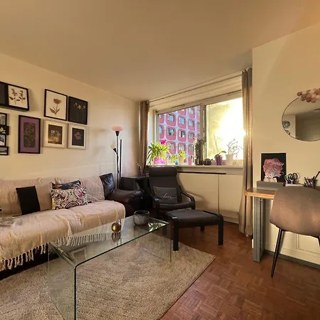 Apartment Tour Reflet 15, A Cozy And Welcoming Home, Just Like Your Own Paris